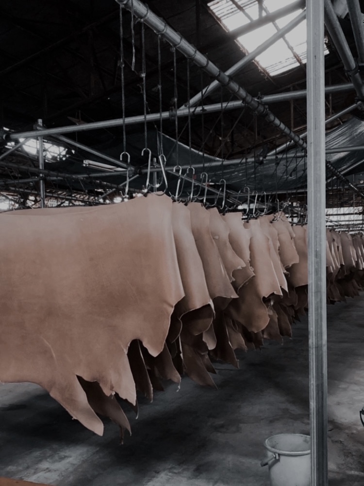 皮革工場で見学した皮をなめす過程の写真