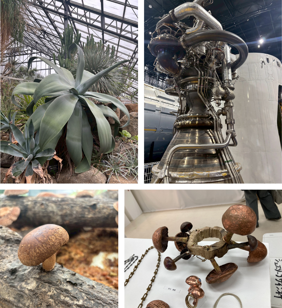 休日の過ごし方