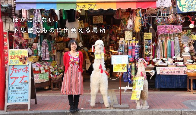 ほかにはない、不思議なものに出会える場所